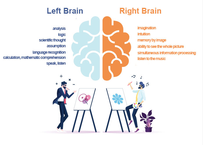 Difference between right and left brain