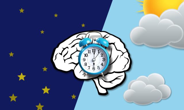 脳にいいことその3：睡眠が脳に与える影響