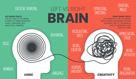 右脳と左脳の違いとは？左右両方の脳をバランスよく鍛えるコツ