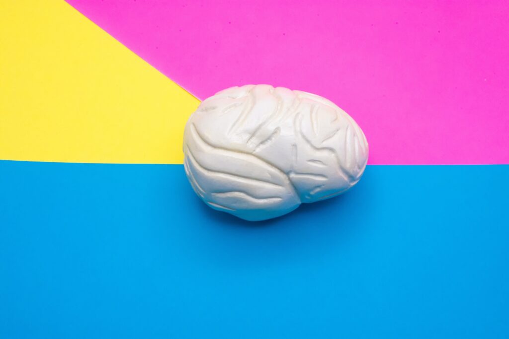 脳梁を鍛えることで左右の脳が活性化する