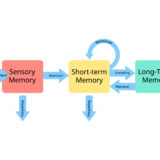一時記憶を鍛える!脳のしくみを理解して記憶力をアップする方法