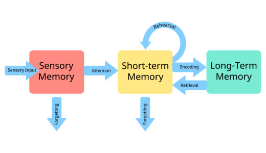 一時記憶を鍛える！脳のしくみを理解して記憶力をアップする方法