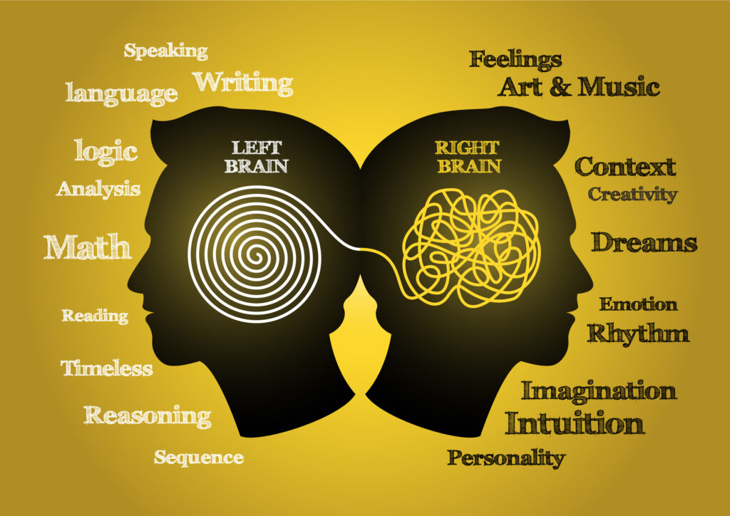 脳のタイプを知って生活を豊かにしよう