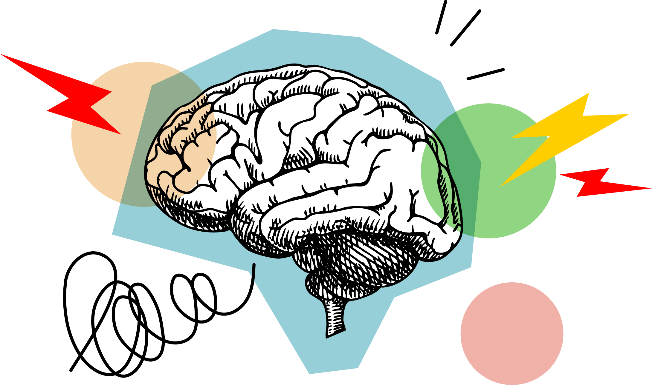 脳全体の能力を引き出すイメージ