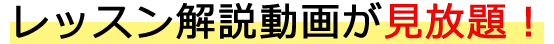 レッスン動画が見放題!